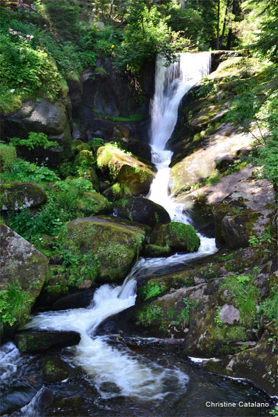 Cascade Flow by Christine Catalano